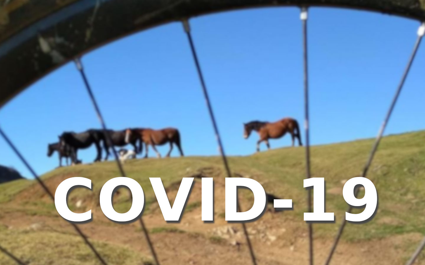 Medidas prevención COVID-19